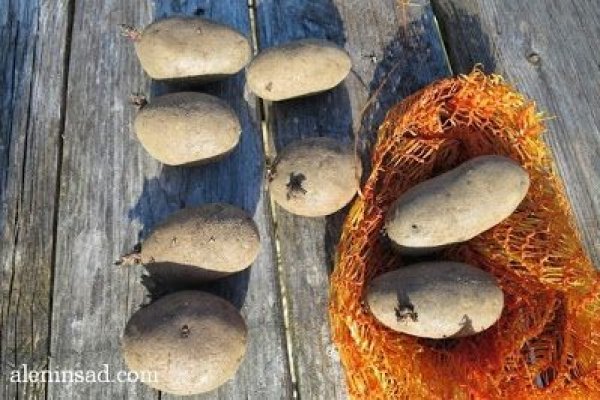 Kraken что это за сайт