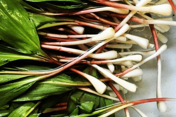 Кракен ссылка fo feng crmp ru