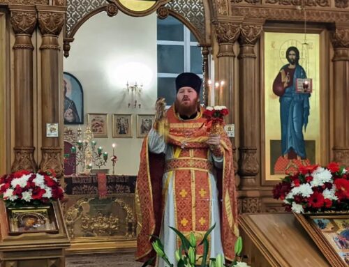 Kraken площадка